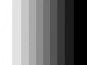 800px-Gray_scale